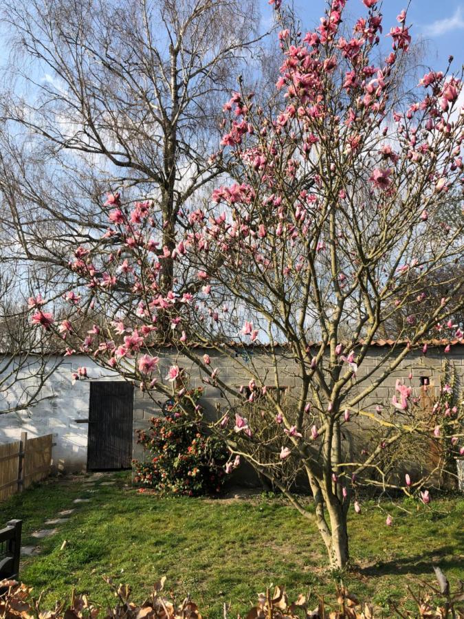 Ons Hofke Bed & Breakfast Lubbeek Exterior photo